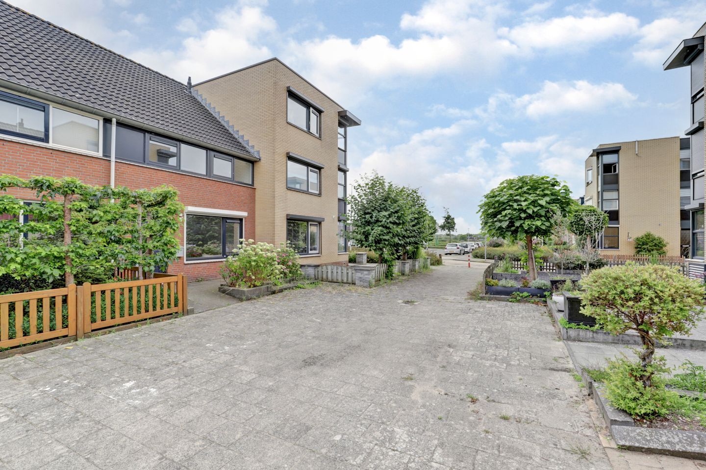 Foto 5 van Palissade 82