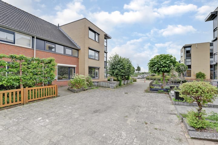 Foto 5 van Palissade 82