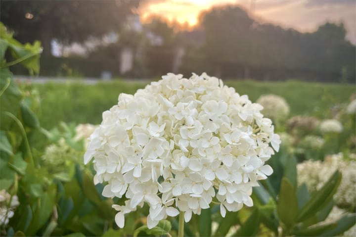 Foto 8 van Tienhovenseweg 13-A