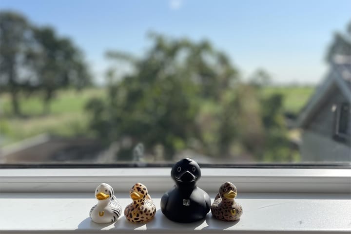 Foto 59 van Tienhovenseweg 13-A