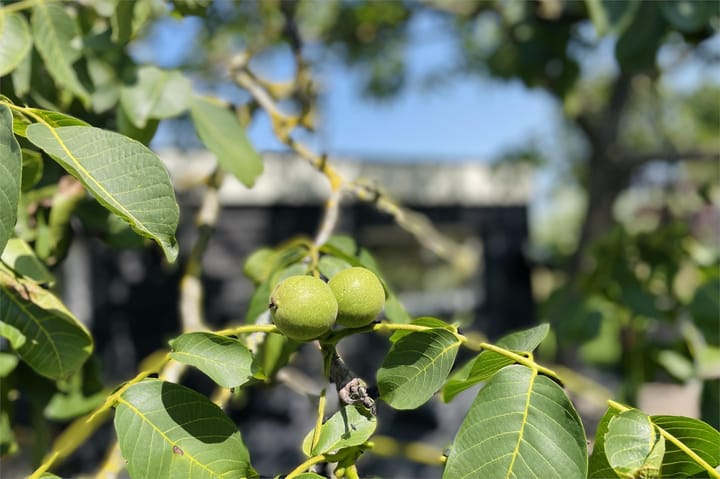 Foto 75 van Tienhovenseweg 13-A