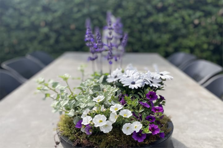 Foto 80 van Tienhovenseweg 13-A