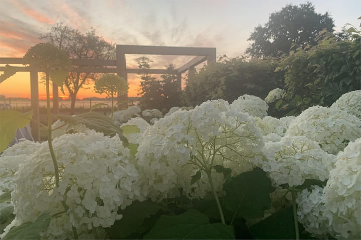 Foto 85 van Tienhovenseweg 13-A