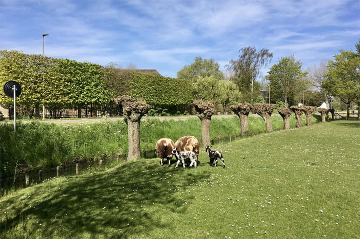 Foto 89 van Tienhovenseweg 13-A