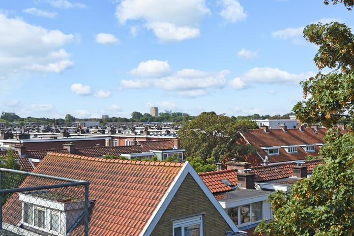 Foto 28 van De la Reyweg 273