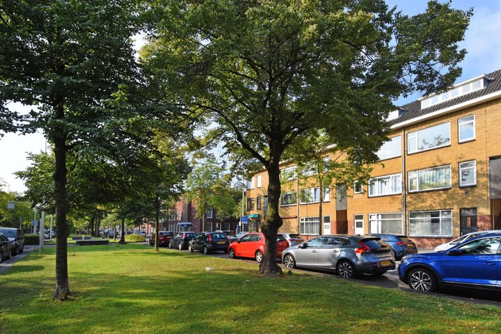 Foto 30 van De la Reyweg 273