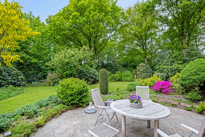 Foto 3 van Dalkruid 2