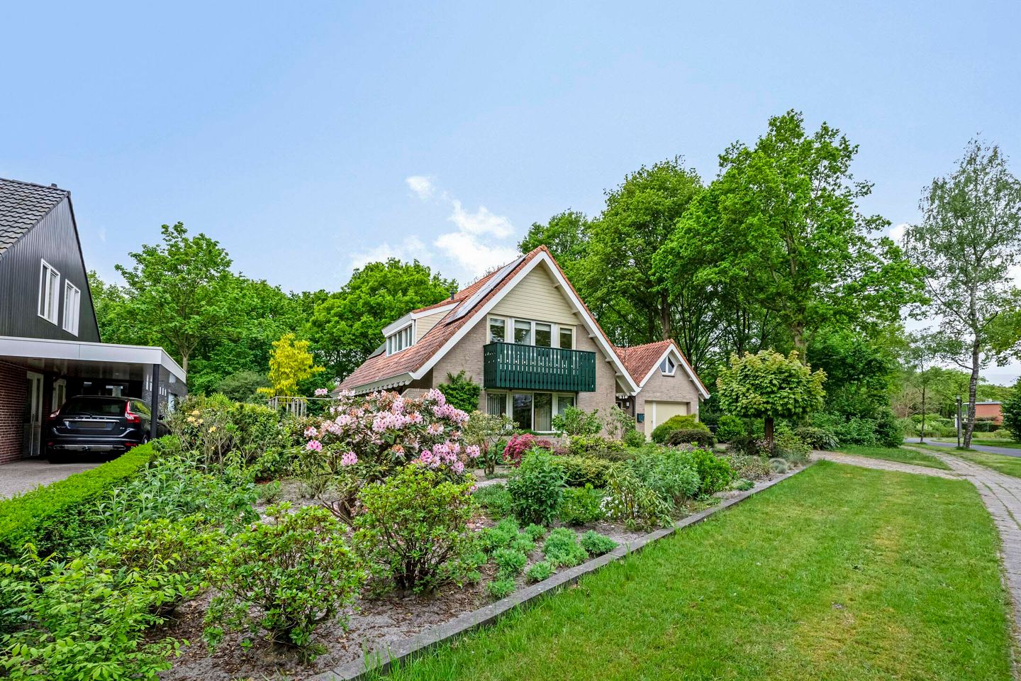 Foto 4 van Dalkruid 2