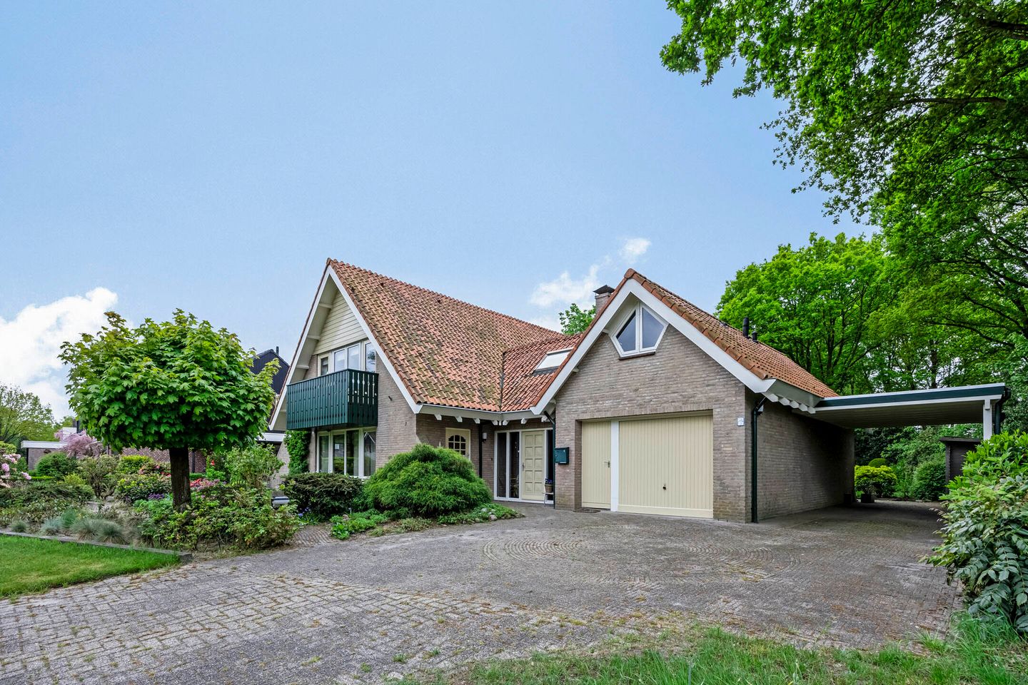 Foto 5 van Dalkruid 2