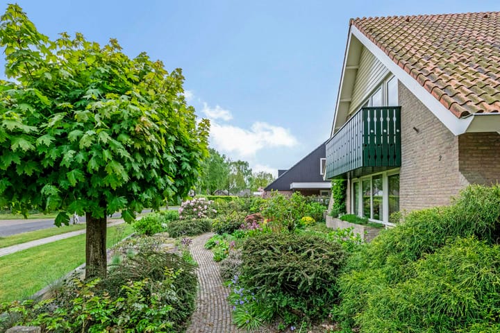 Foto 6 van Dalkruid 2