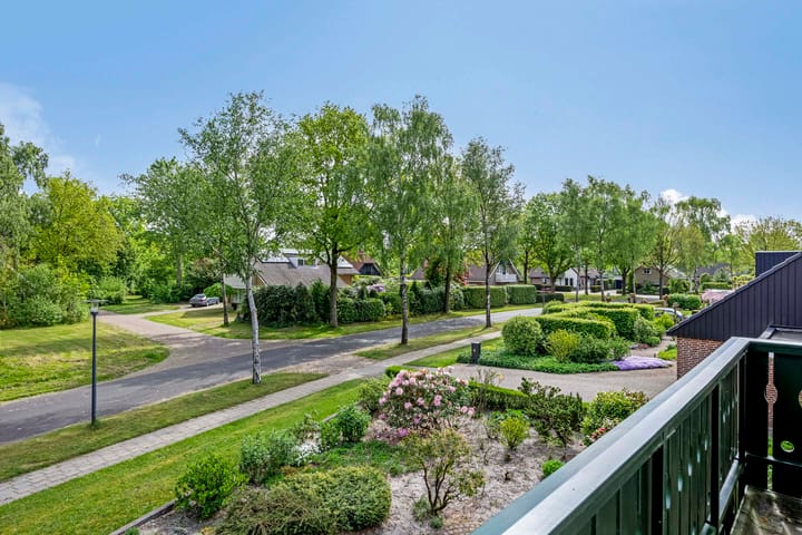 Foto 29 van Dalkruid 2