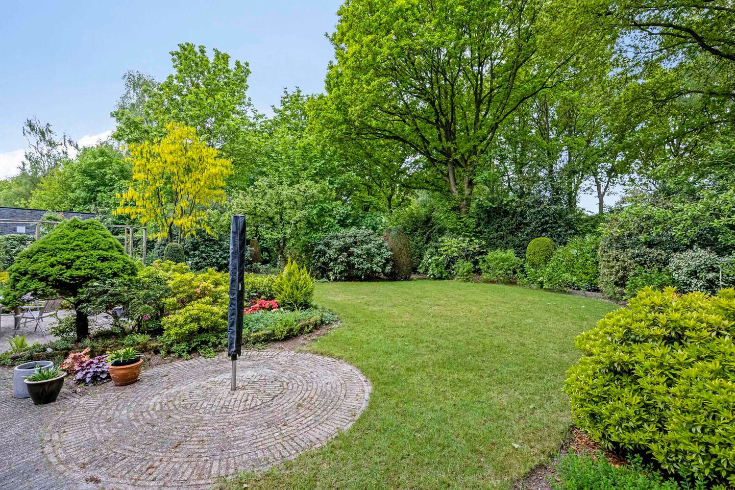 Foto 34 van Dalkruid 2