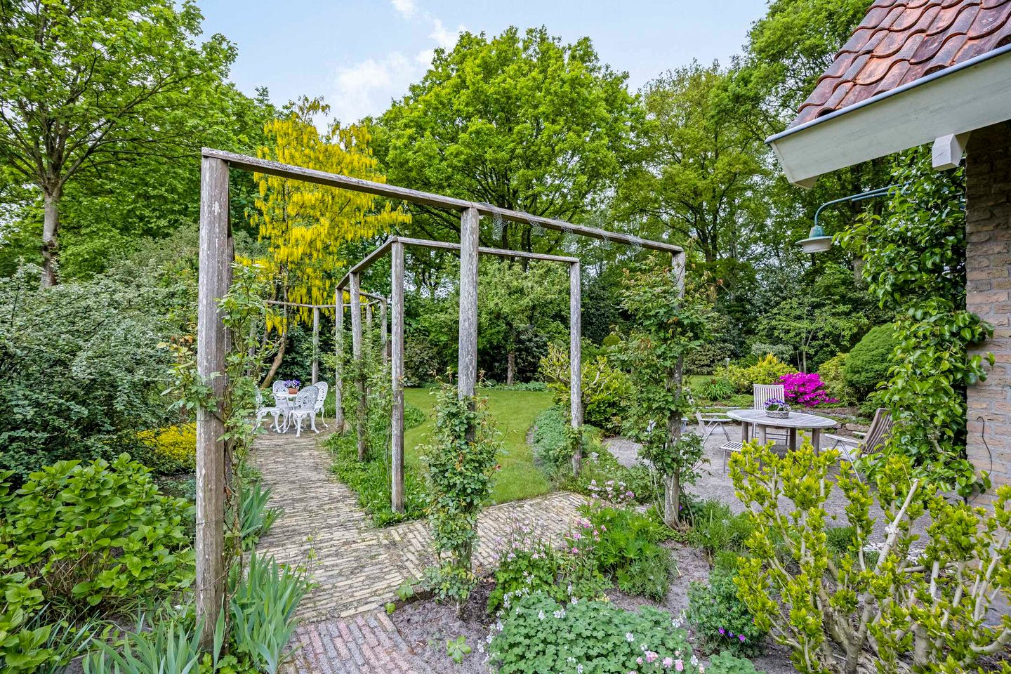 Foto 35 van Dalkruid 2