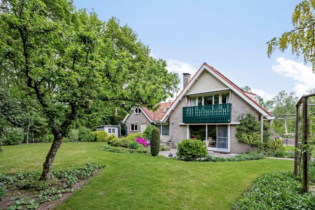 Foto 37 van Dalkruid 2