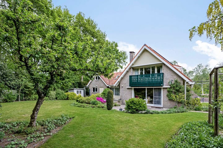 Foto 37 van Dalkruid 2