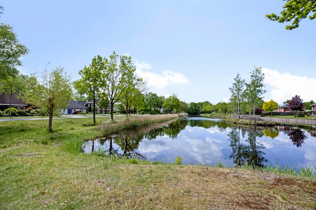 Foto 43 van Dalkruid 2