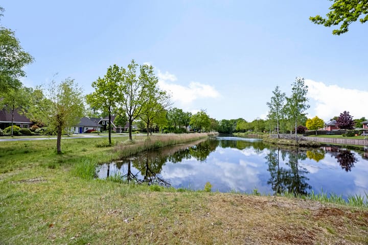 Foto 43 van Dalkruid 2