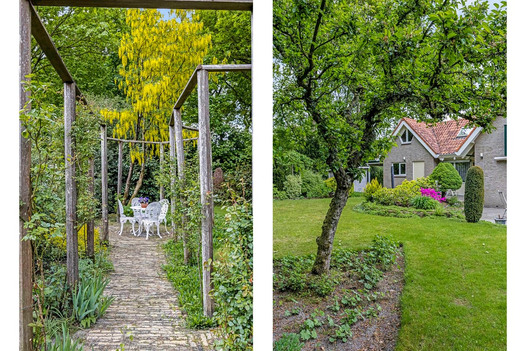 Foto 46 van Dalkruid 2