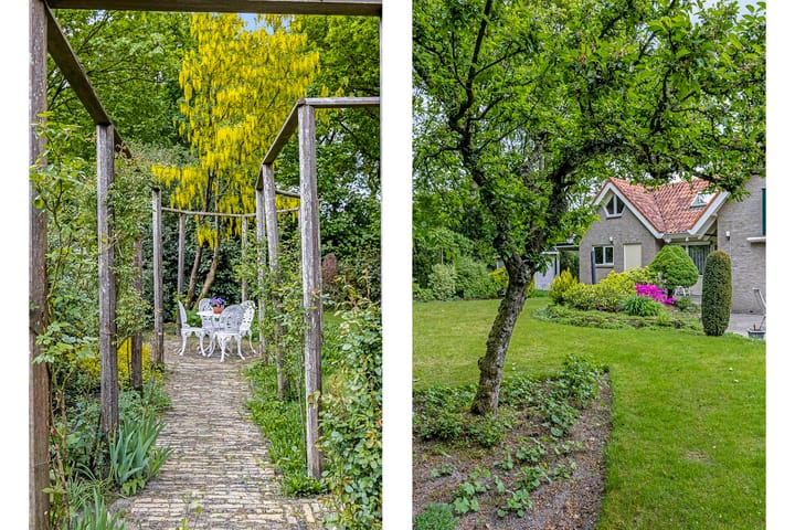 Foto 46 van Dalkruid 2