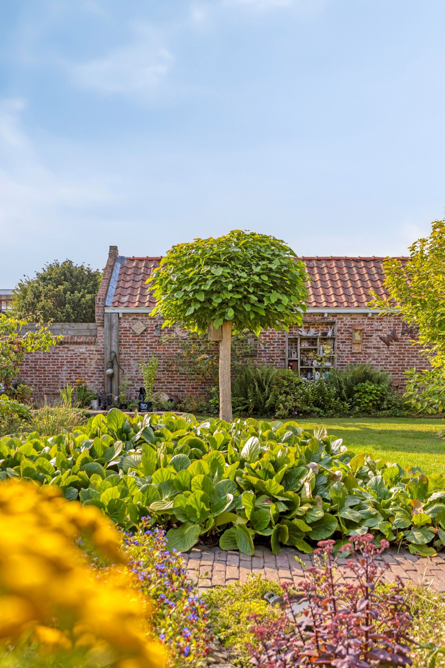 Foto 39 van Banjaardstraat 88