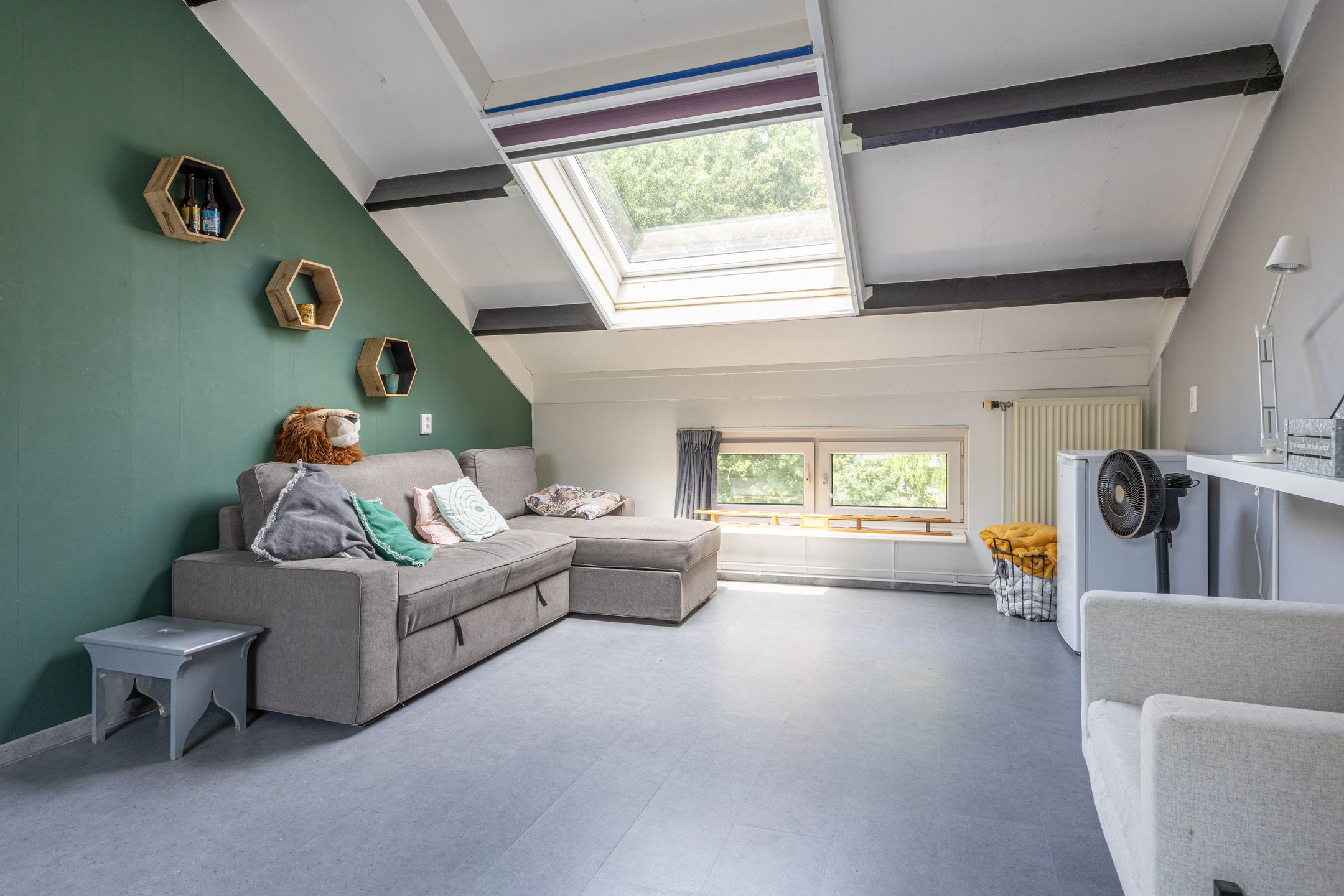 Foto 24 van Cacaomolen 10