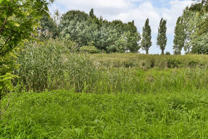 Foto 24 van Randmeerstraat 102