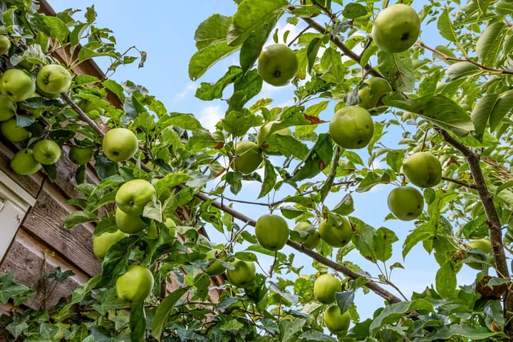 Foto 23 van Spinnerij 39