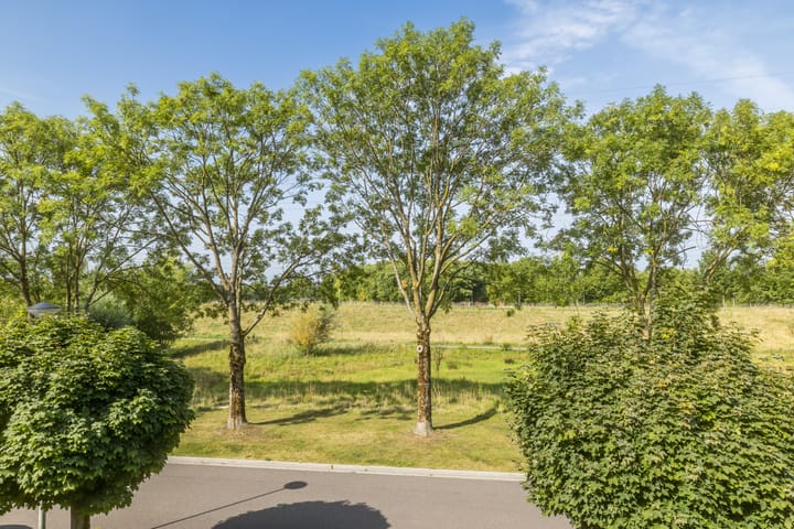 Foto 32 van Saroleaplantsoen 18