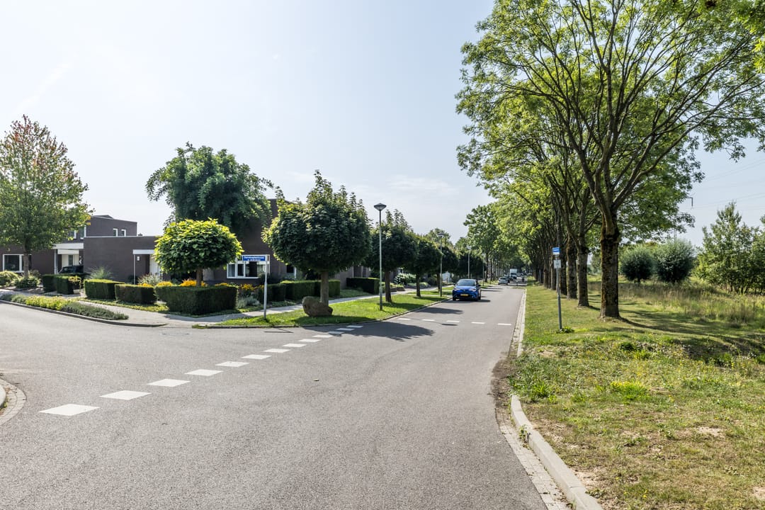 Foto 41 van Saroleaplantsoen 18