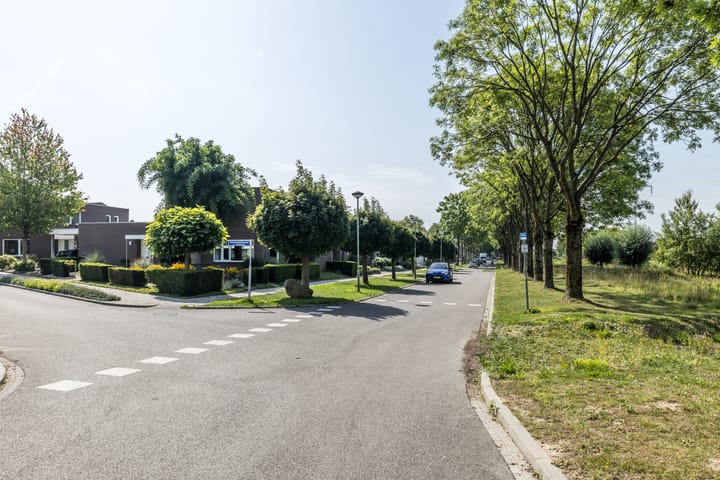 Foto 41 van Saroleaplantsoen 18