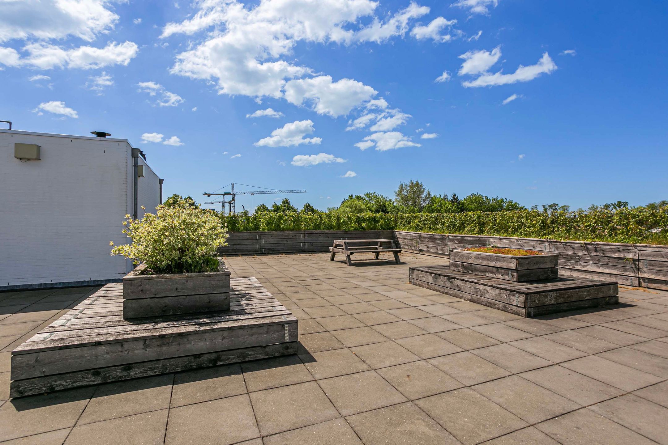 Foto 21 van Wattbaan 50-36