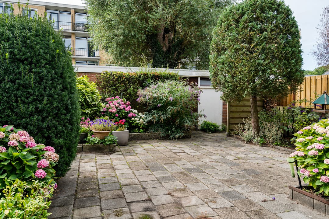 Foto 2 van Eksterstraat 32