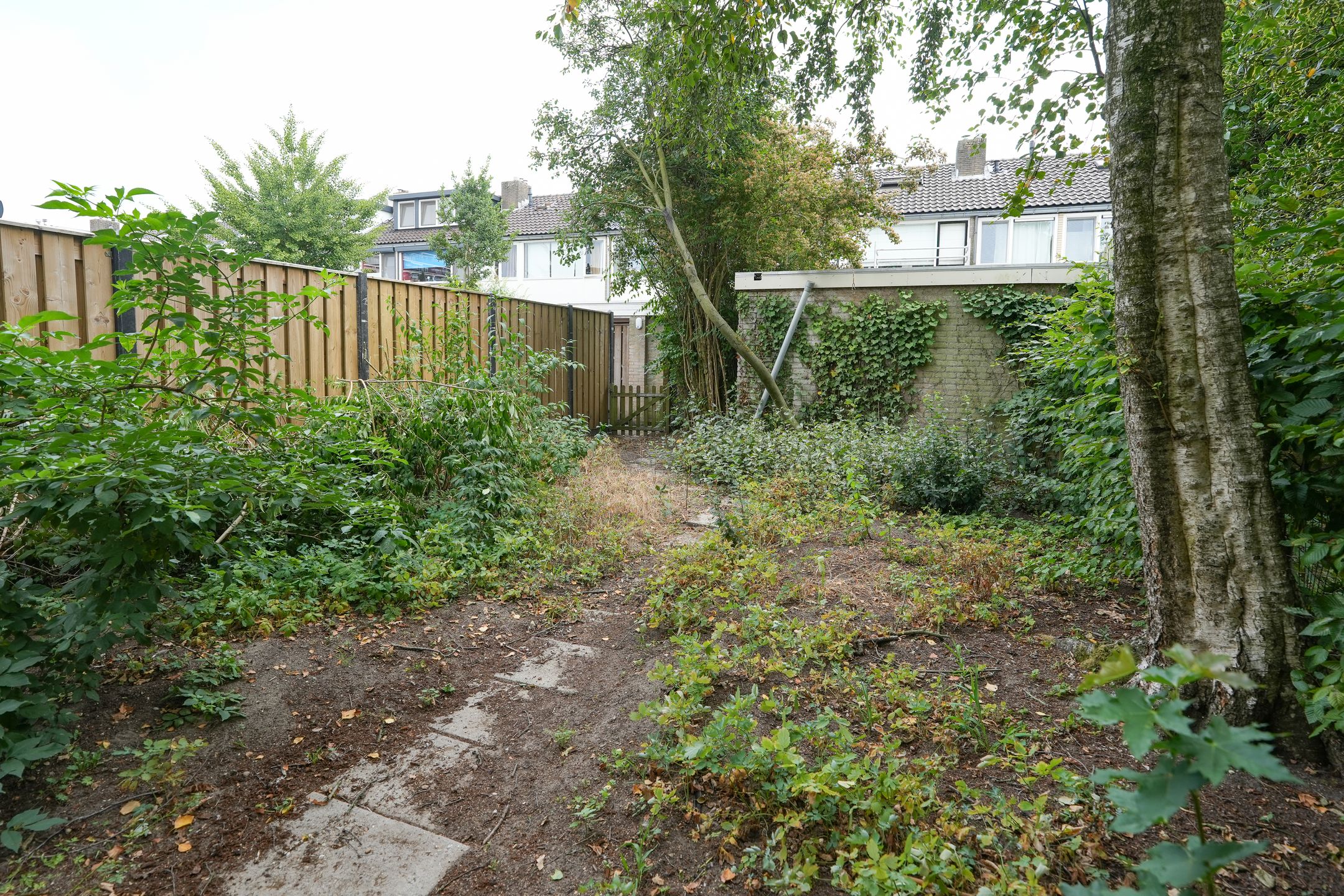 Photo 18 of Cimbaalstraat 49