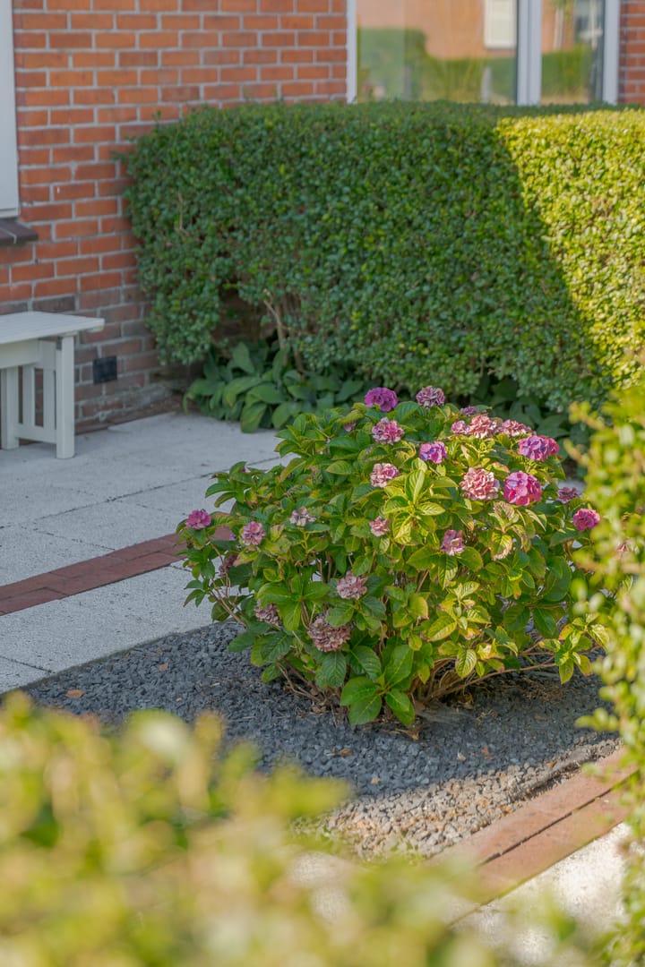 Photo 7 of Hortensiastraat 18