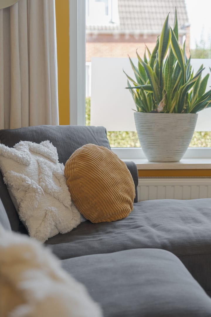 Photo 23 of Hortensiastraat 18