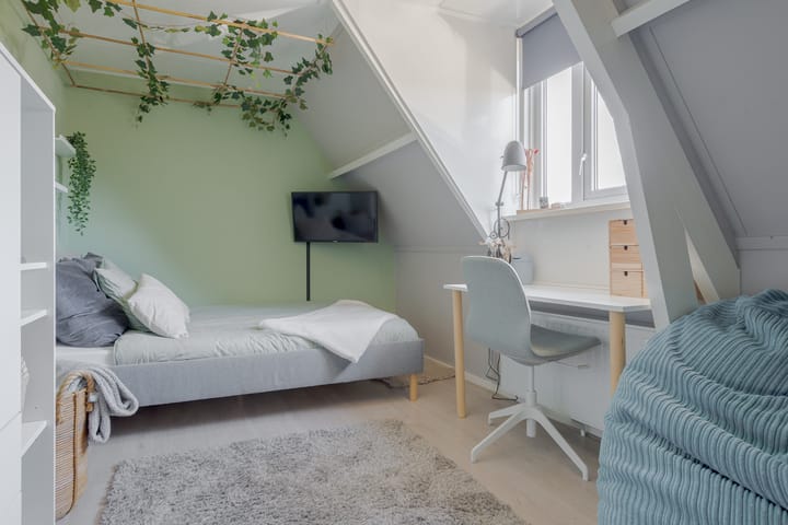 Photo 51 of Hortensiastraat 18