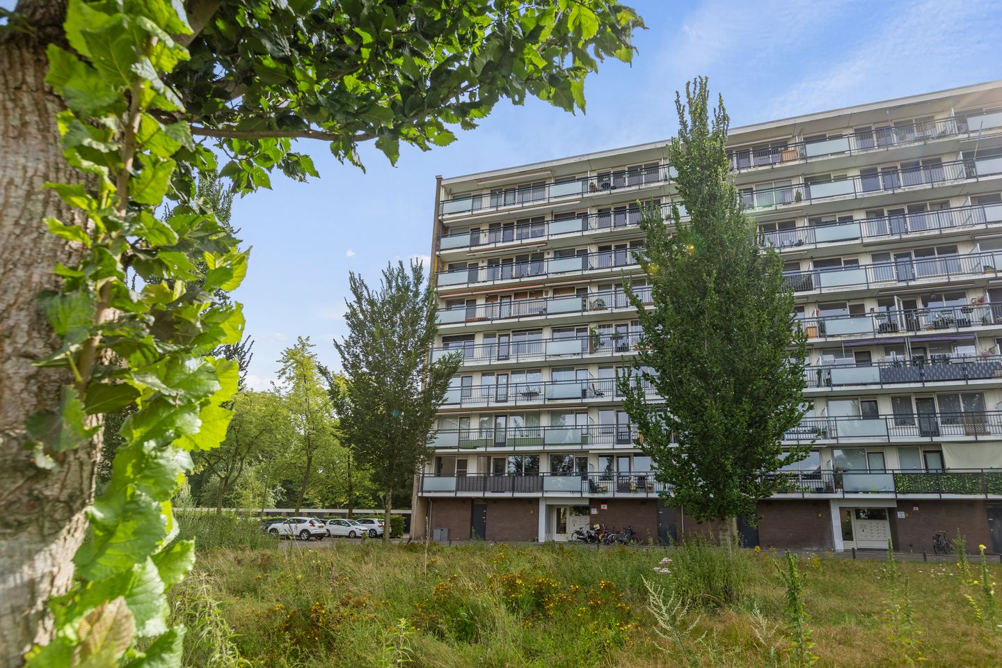 Foto 4 van Trekvogelweg 299