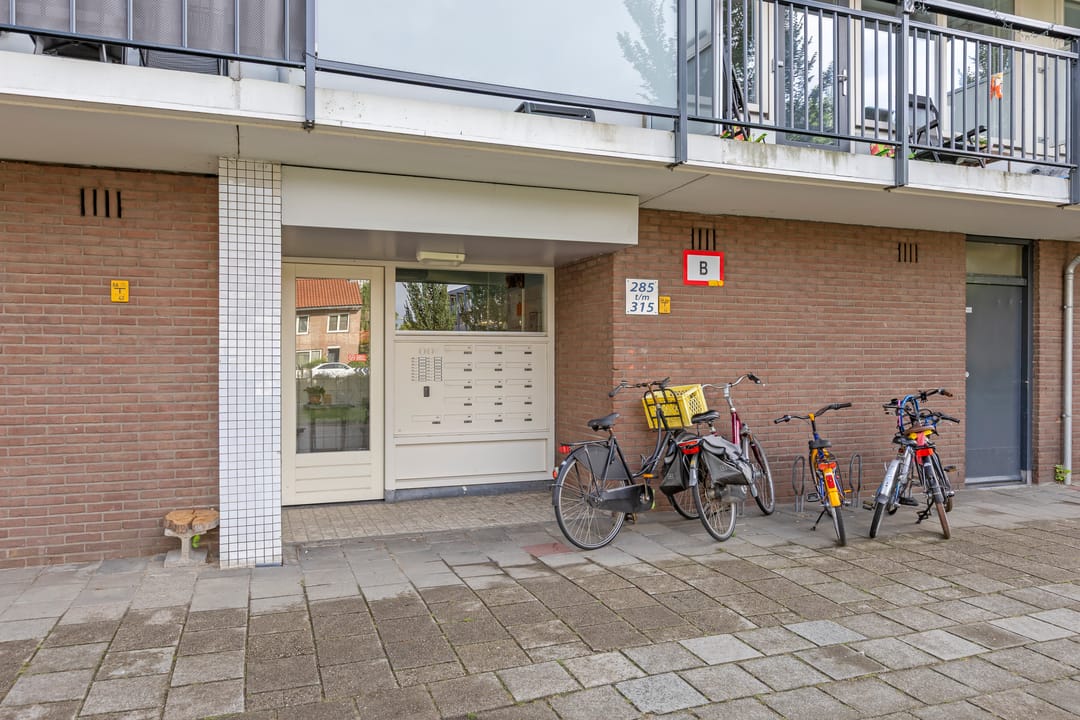 Foto 56 van Trekvogelweg 299