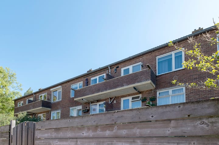 Foto 36 van Buizerdstraat 28