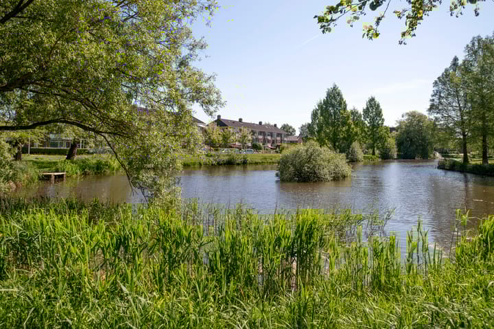 Foto 39 van Buizerdstraat 28