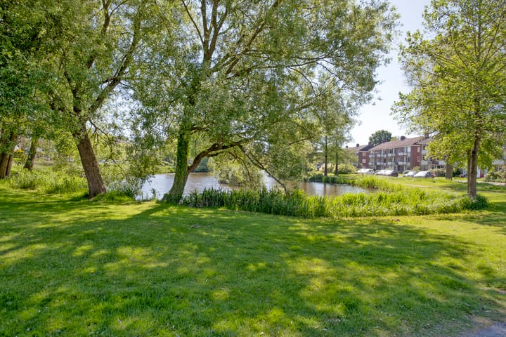 Foto 40 van Buizerdstraat 28