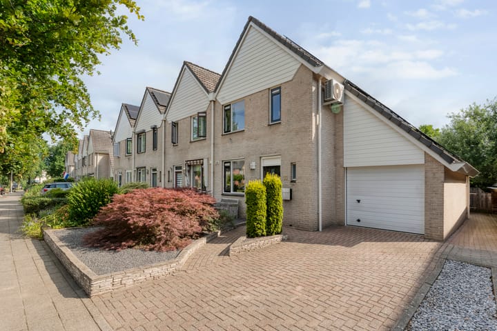 Foto 2 van Gele Lis 33