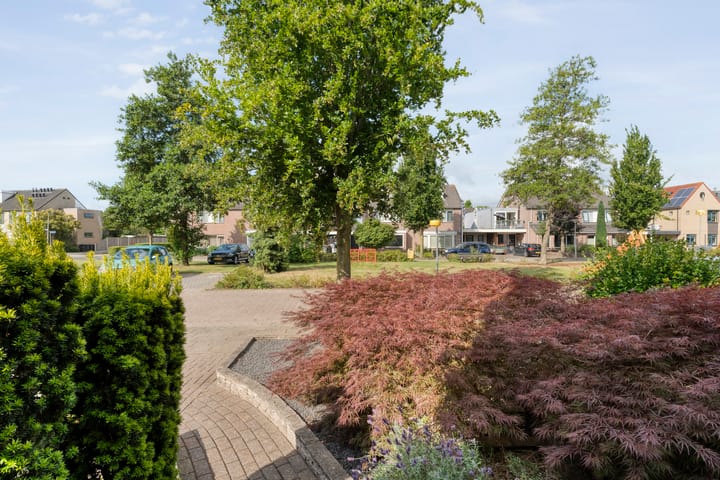 Foto 3 van Gele Lis 33