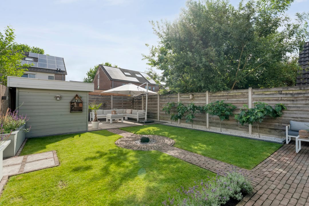 Foto 38 van Gele Lis 33