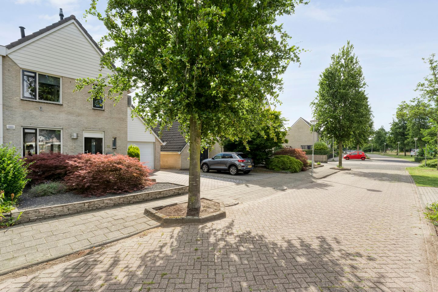 Foto 49 van Gele Lis 33