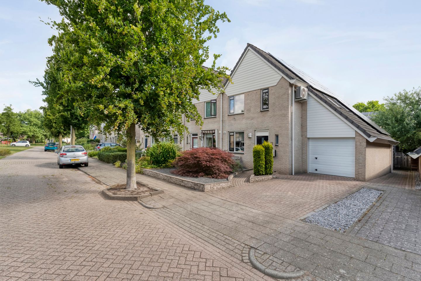 Foto 50 van Gele Lis 33