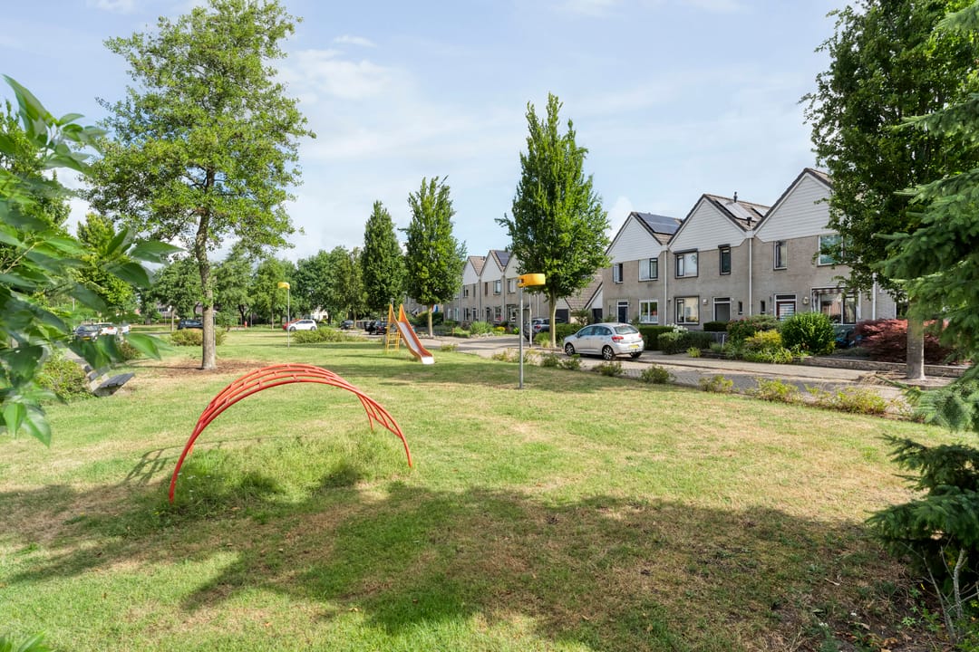 Foto 52 van Gele Lis 33