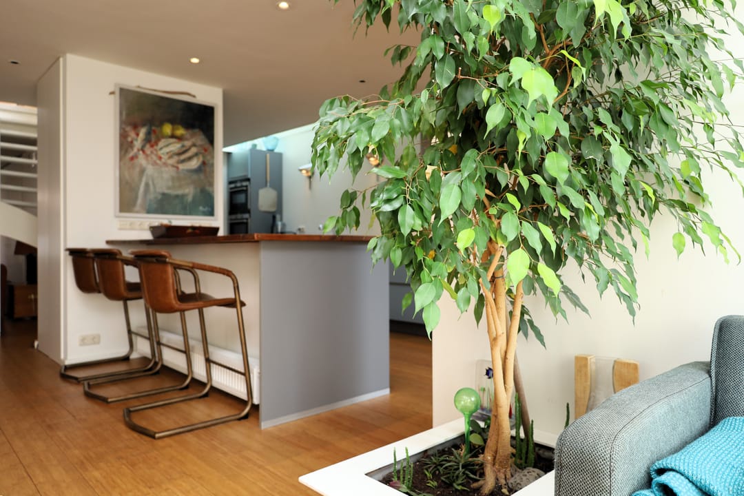 Foto 13 van Oosterburen 24