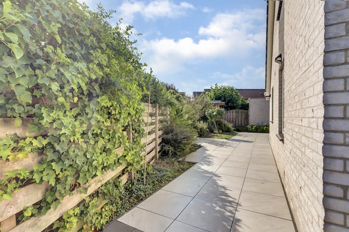 Foto 29 van Goudreinettestraat 11