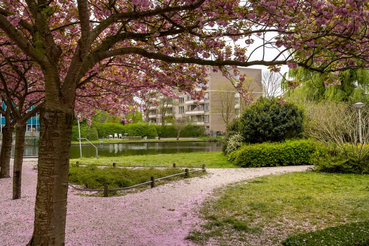 Foto 23 van Morsweg 53